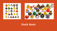 Duck Hunt
