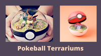 Pokeball Terrariums