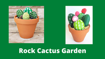 Rock Cactus Garden