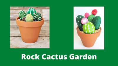 Rock Cactus Garden Rock Cactus Garden