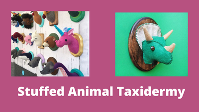 Stuffed Animal Taxidermy — Dorr Township Library