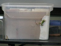 Animal Program 3.jpg