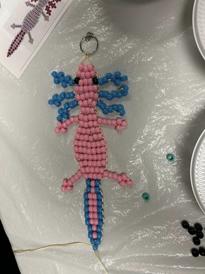 bead pets18