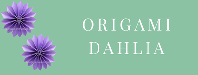 Dahlia 