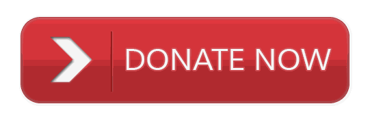 Donate Button