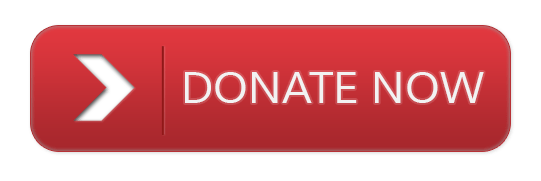 Donate Button