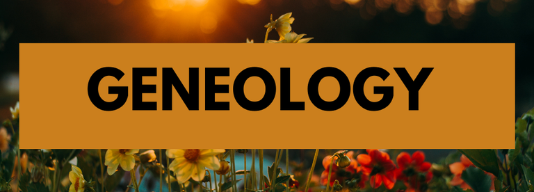 Geneology Banner.png