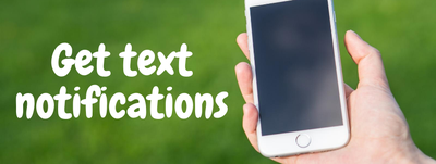 get text notifications 