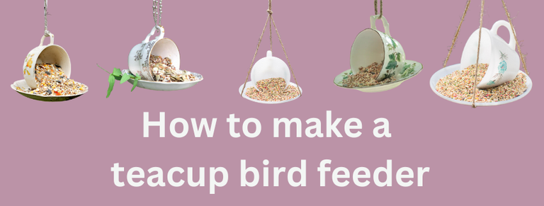 Tea Cup Bird Feeder Instructions
