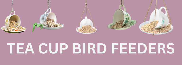 Tea Cup Bird Feeders